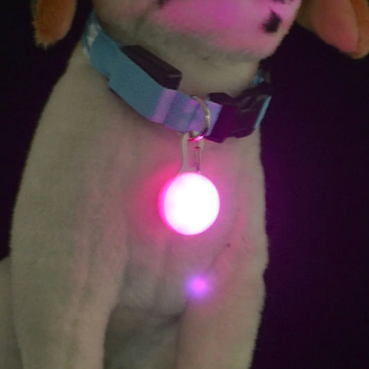 LED Glowing Pet Dog Night Safety Collar